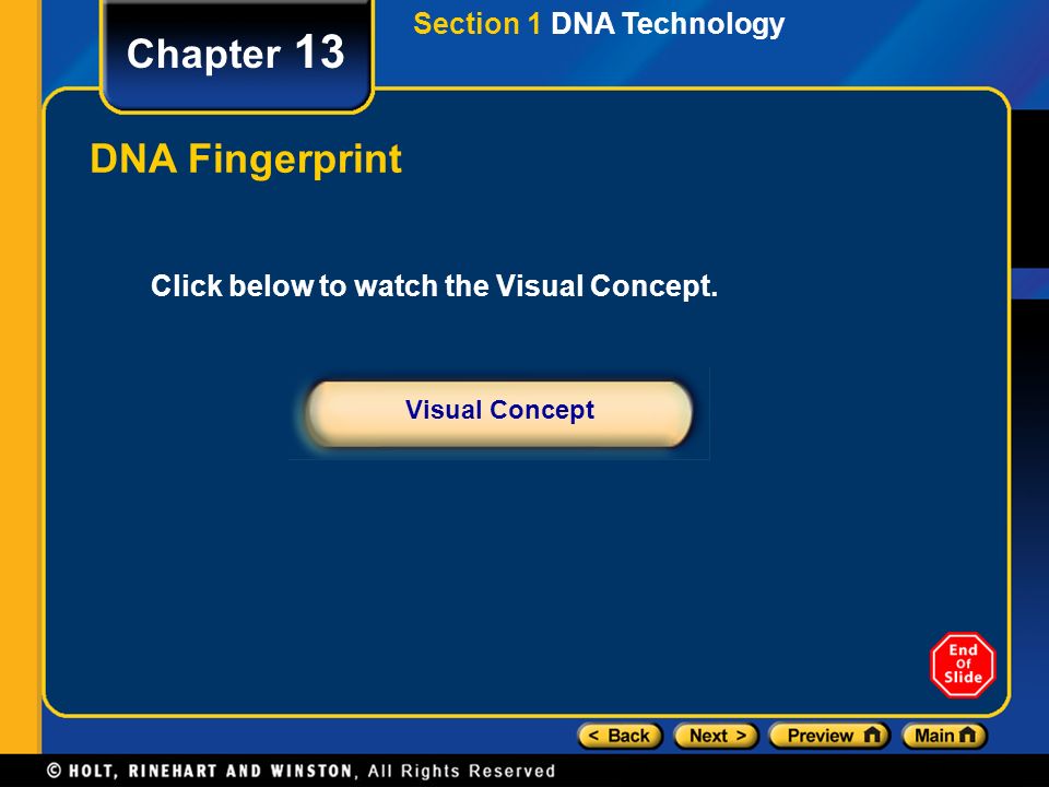 Chapter 13 DNA Fingerprint Section 1 DNA Technology