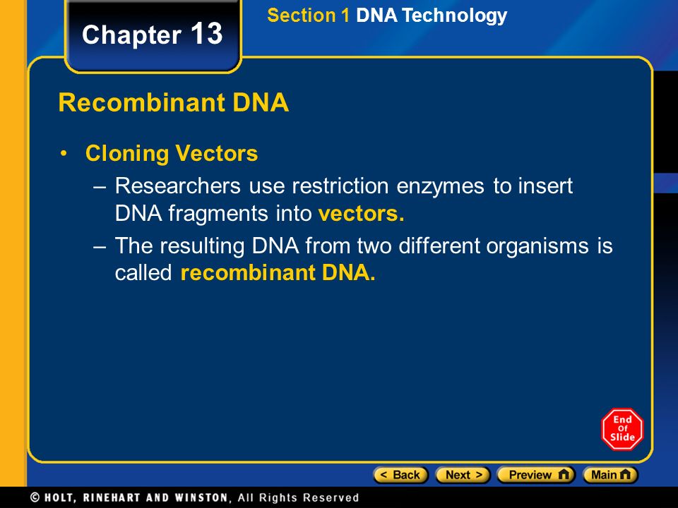 Chapter 13 Recombinant DNA Cloning Vectors