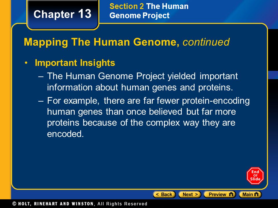 Mapping The Human Genome, continued