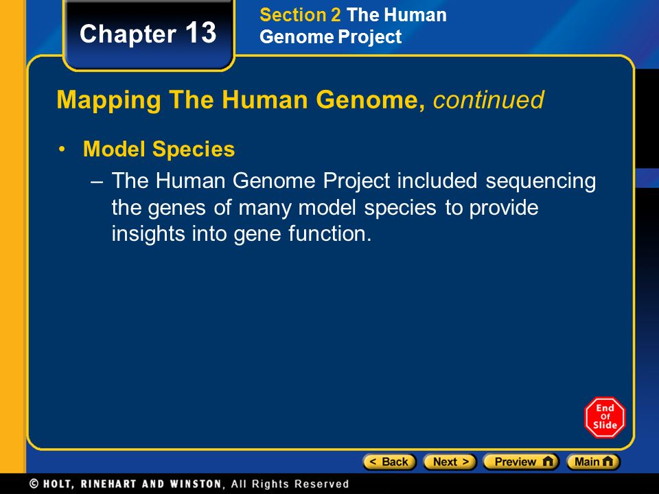 Mapping The Human Genome, continued