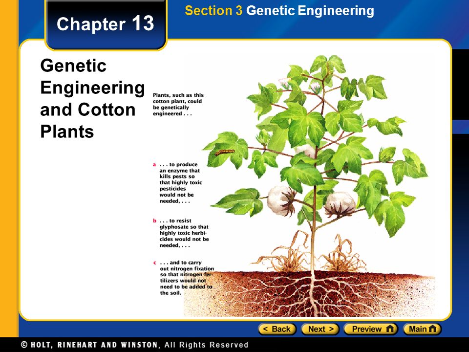 Genetic Engineering and Cotton Plants