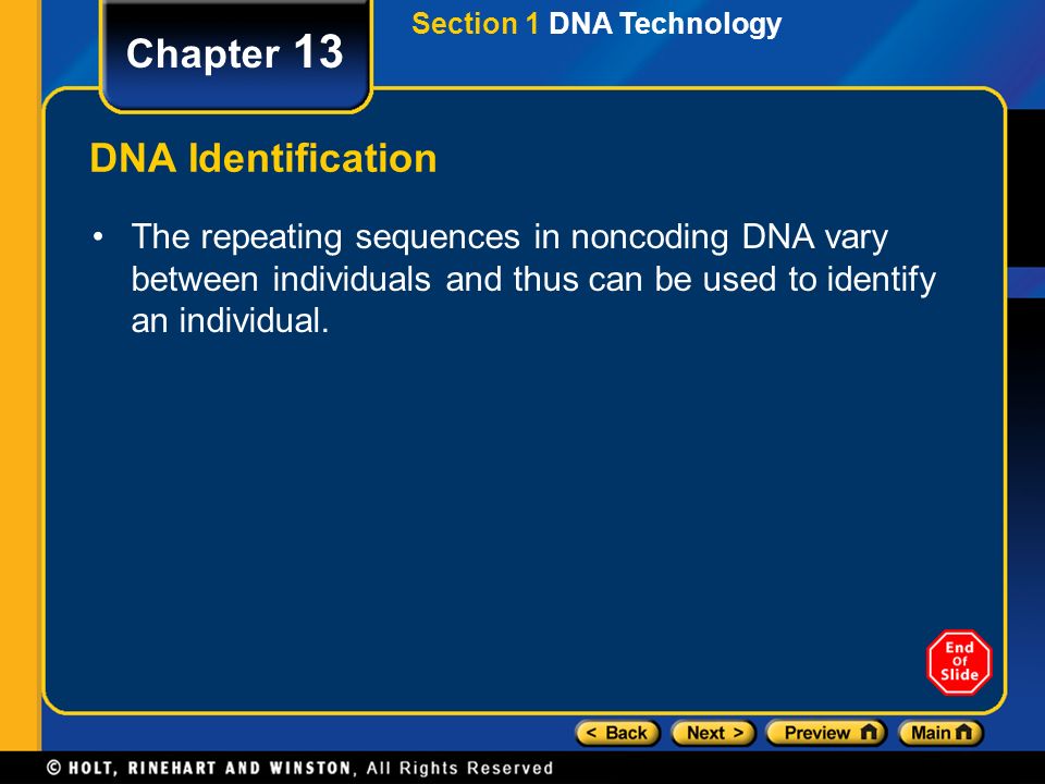 Chapter 13 DNA Identification