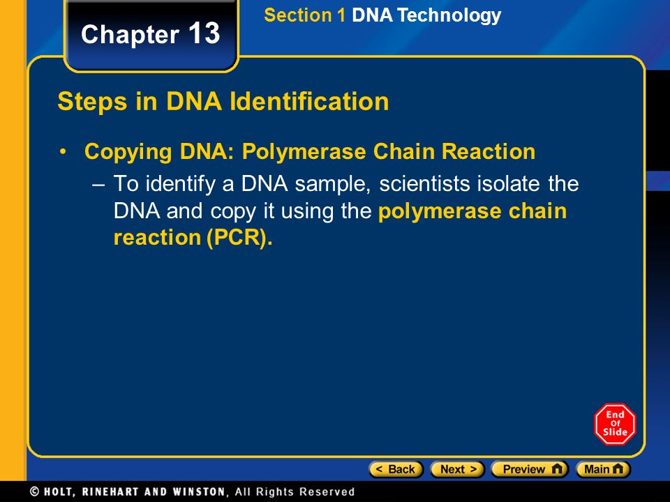 Steps in DNA Identification