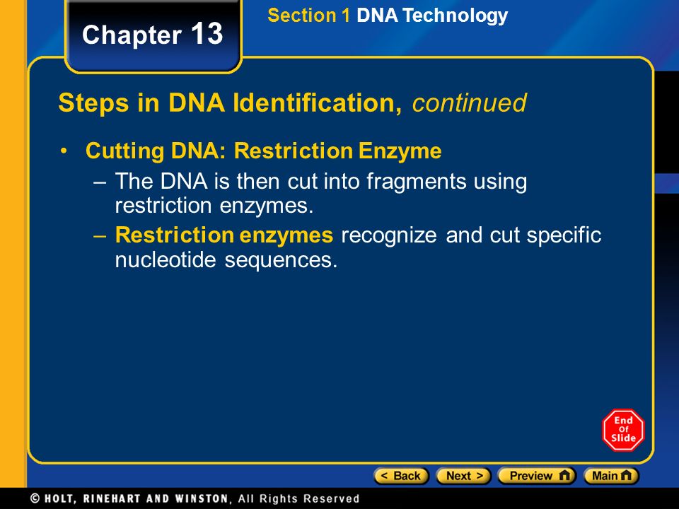 Steps in DNA Identification, continued