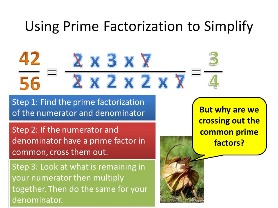 Using Prime Factorization to Simplify