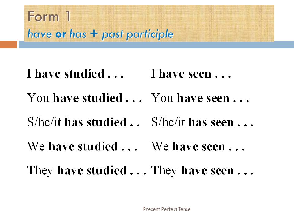 Form 1 have or has + past participle