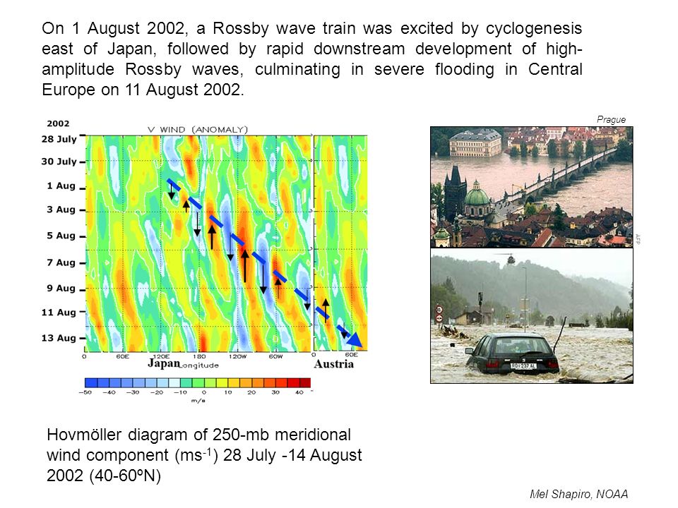 On 1 August 2002, a Rossby wave train was excited by cyclogenesis east of Japan, followed by rapid downstream development of high-amplitude Rossby waves, culminating in severe flooding in Central Europe on 11 August 2002.