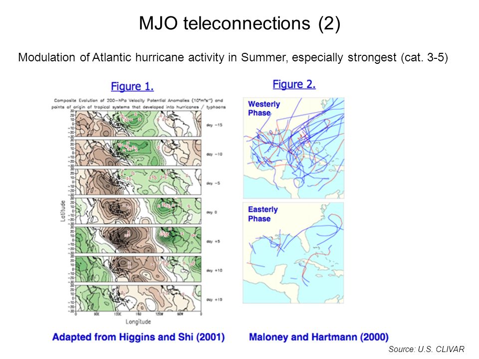 MJO teleconnections (2)