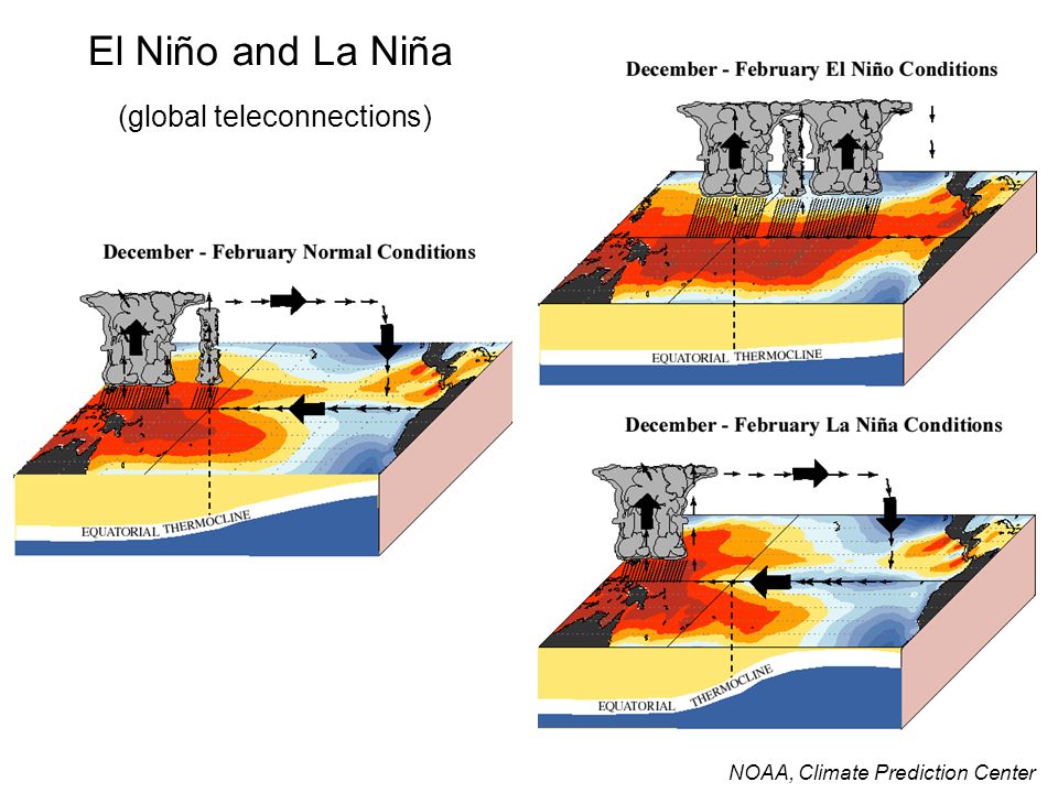 El Niño and La Niña (global teleconnections)