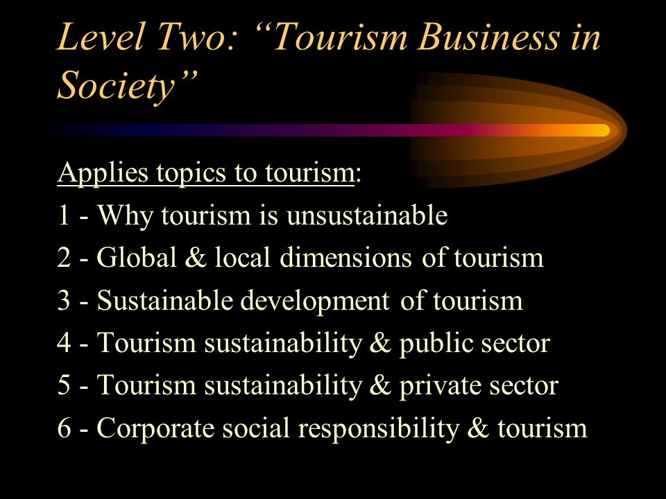 Level Two: Tourism Business in Society