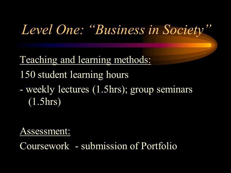 Level One: Business in Society