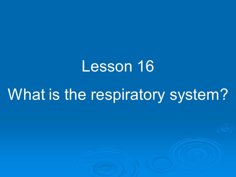 What is the respiratory system