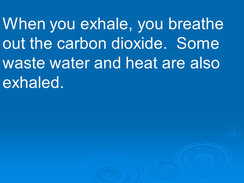 When you exhale, you breathe out the carbon dioxide