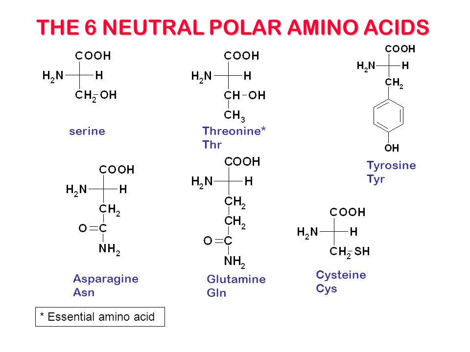 Aminoacids aminoacids