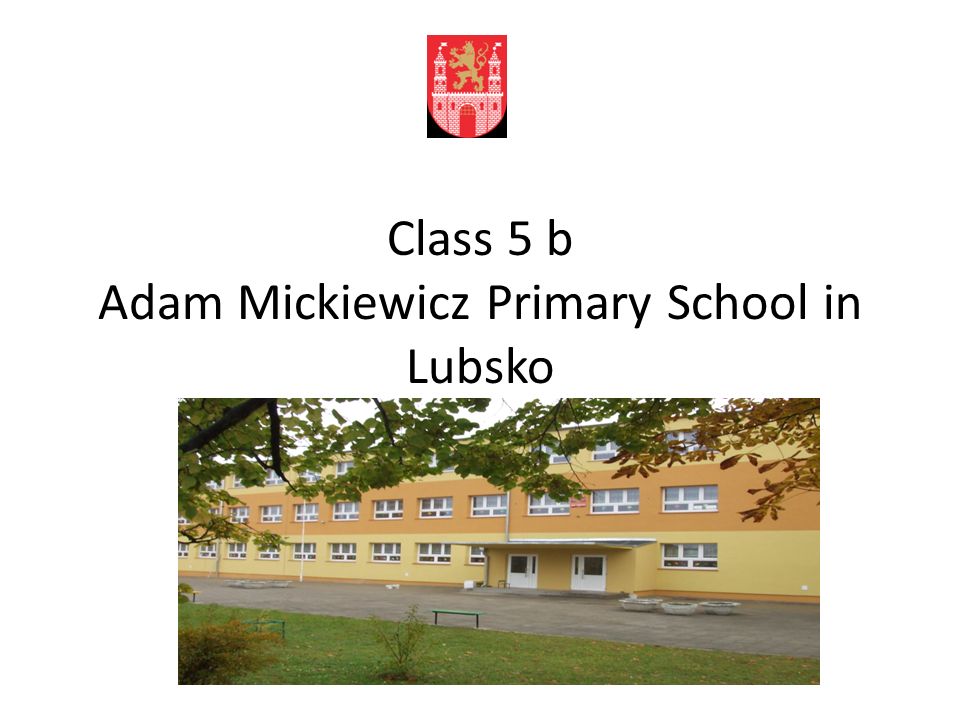 Class 5 b Adam Mickiewicz Primary School in Lubsko
