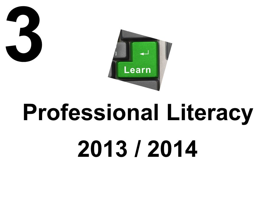 Professional Literacy 2013 / 2014