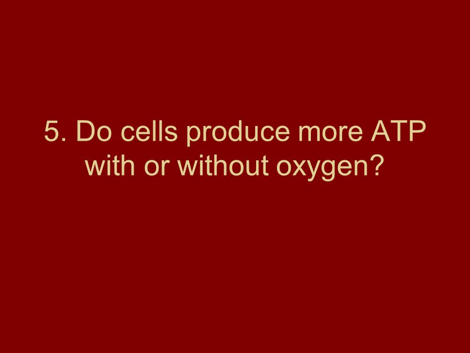5. Do cells produce more ATP with or without oxygen