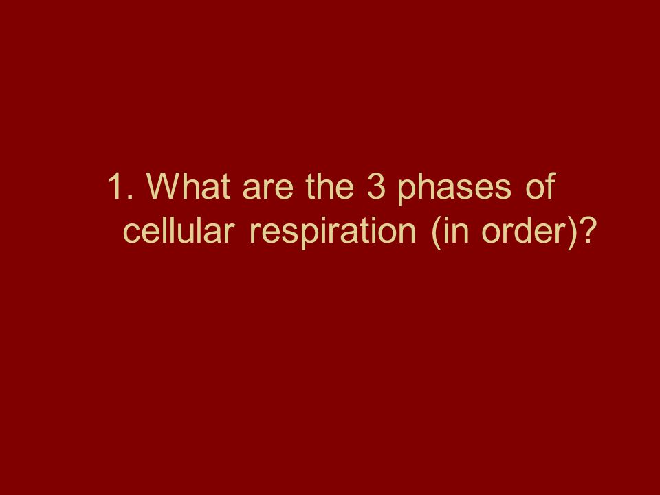 1. What are the 3 phases of cellular respiration (in order)