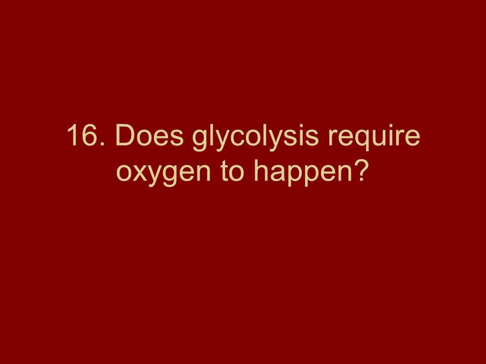 16. Does glycolysis require oxygen to happen