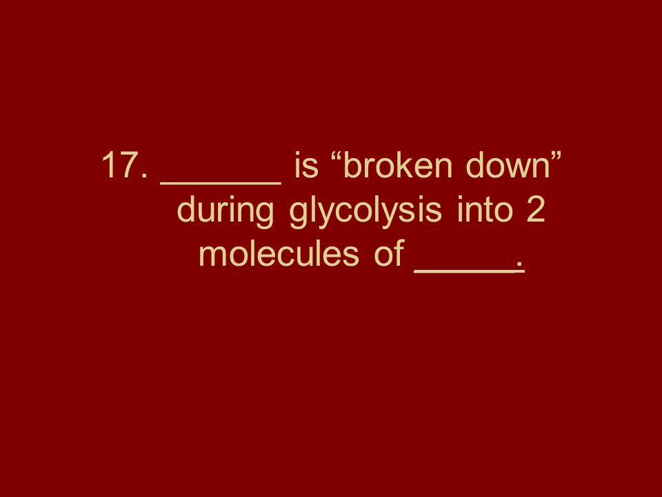 17. ______ is broken down during glycolysis into 2 molecules of _____.