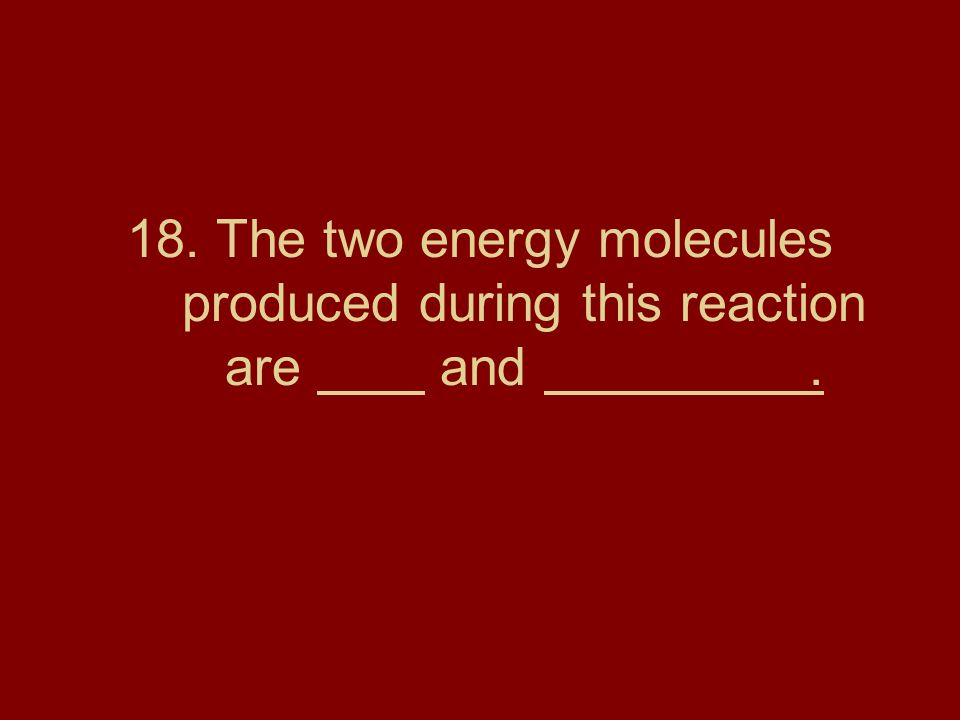 18. The two energy molecules produced during this reaction are and .
