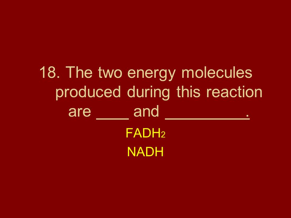 18. The two energy molecules produced during this reaction are and .