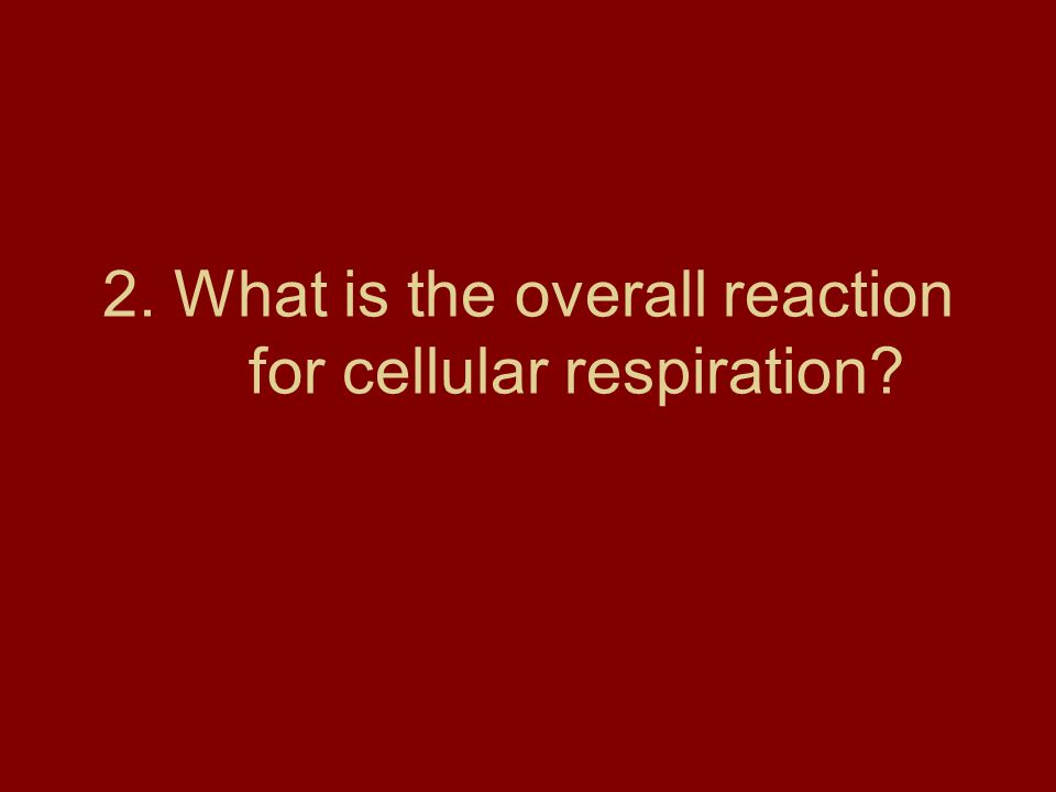 2. What is the overall reaction for cellular respiration