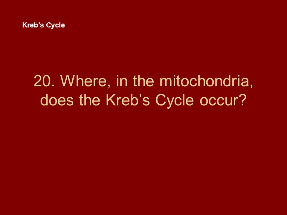 20. Where, in the mitochondria, does the Kreb’s Cycle occur