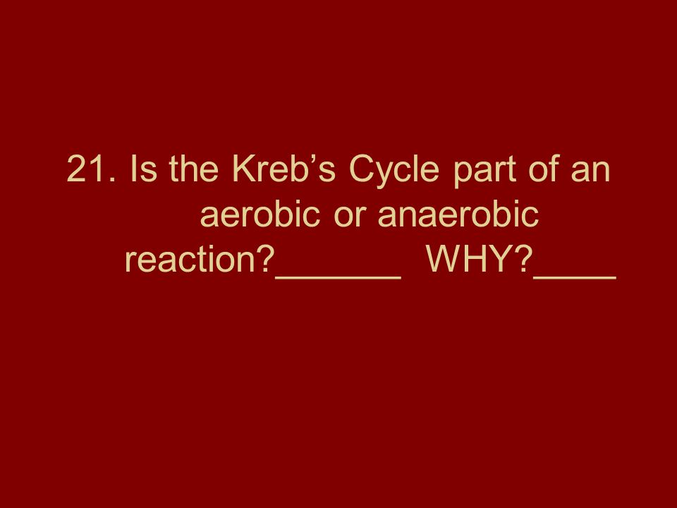 21. Is the Kreb’s Cycle part of an aerobic or anaerobic reaction