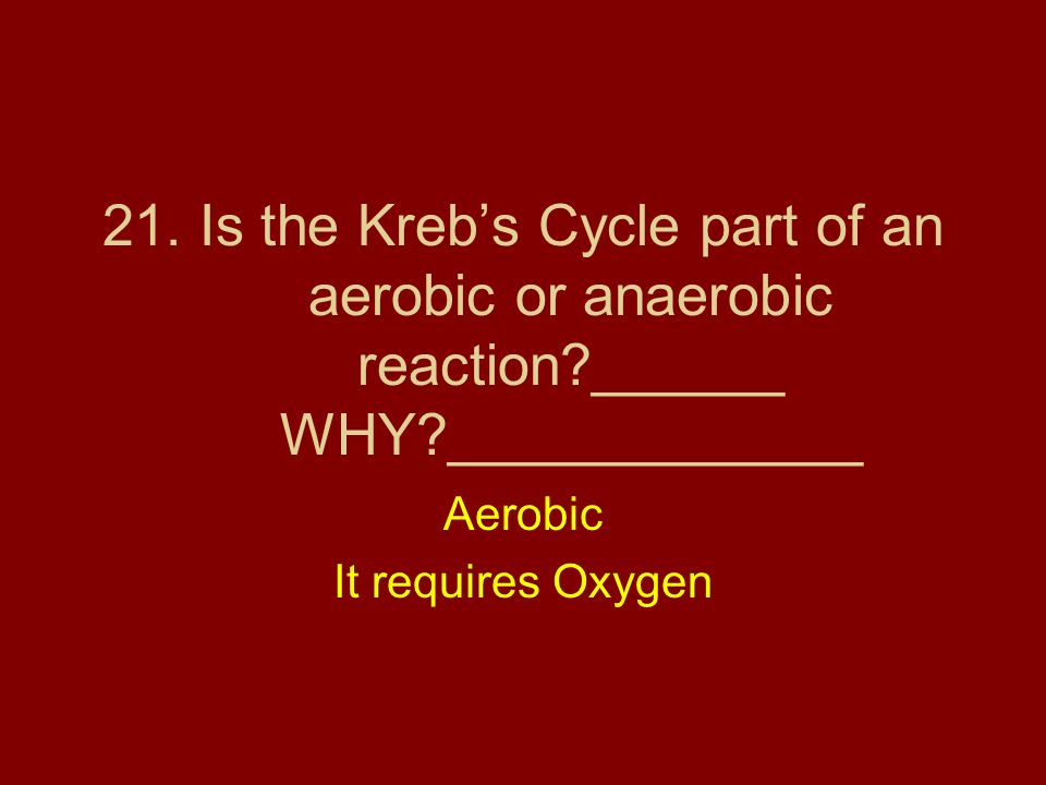 Aerobic It requires Oxygen