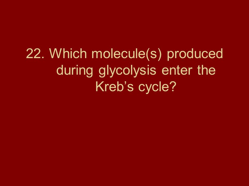 22. Which molecule(s) produced during glycolysis enter the Kreb’s cycle
