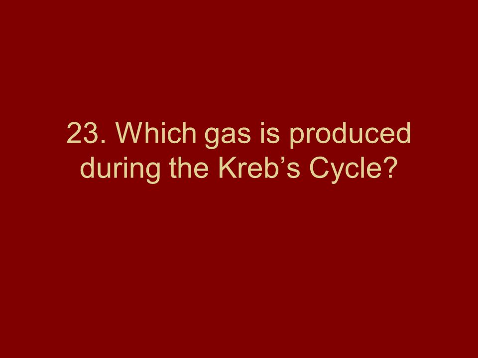 23. Which gas is produced during the Kreb’s Cycle