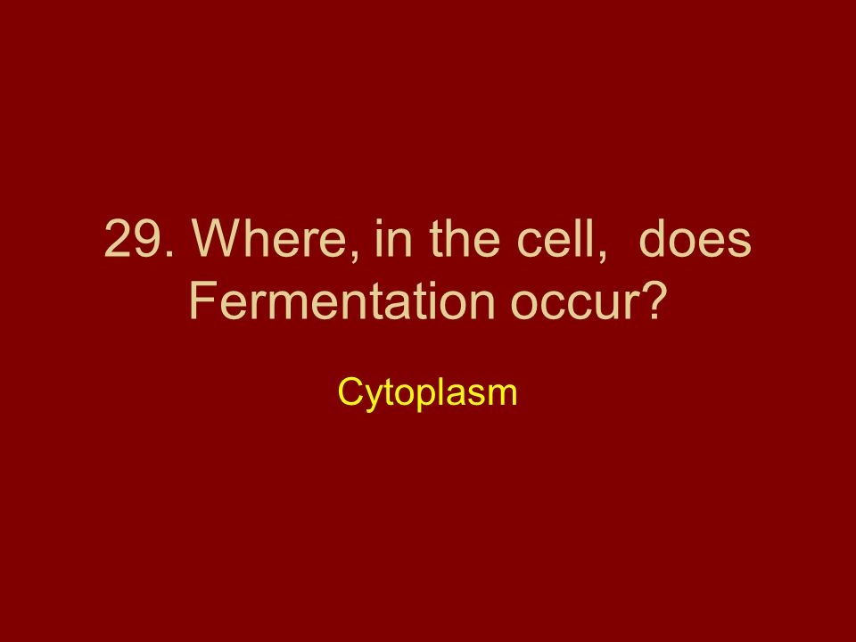 29. Where, in the cell, does Fermentation occur