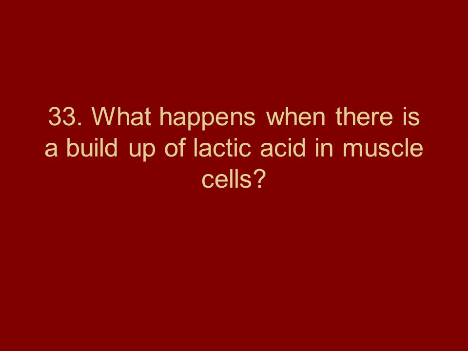 33. What happens when there is a build up of lactic acid in muscle cells