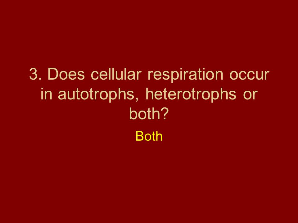 3. Does cellular respiration occur in autotrophs, heterotrophs or both