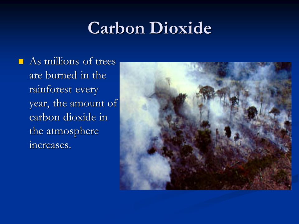 Carbon Dioxide As millions of trees are burned in the rainforest every year, the amount of carbon dioxide in the atmosphere increases.