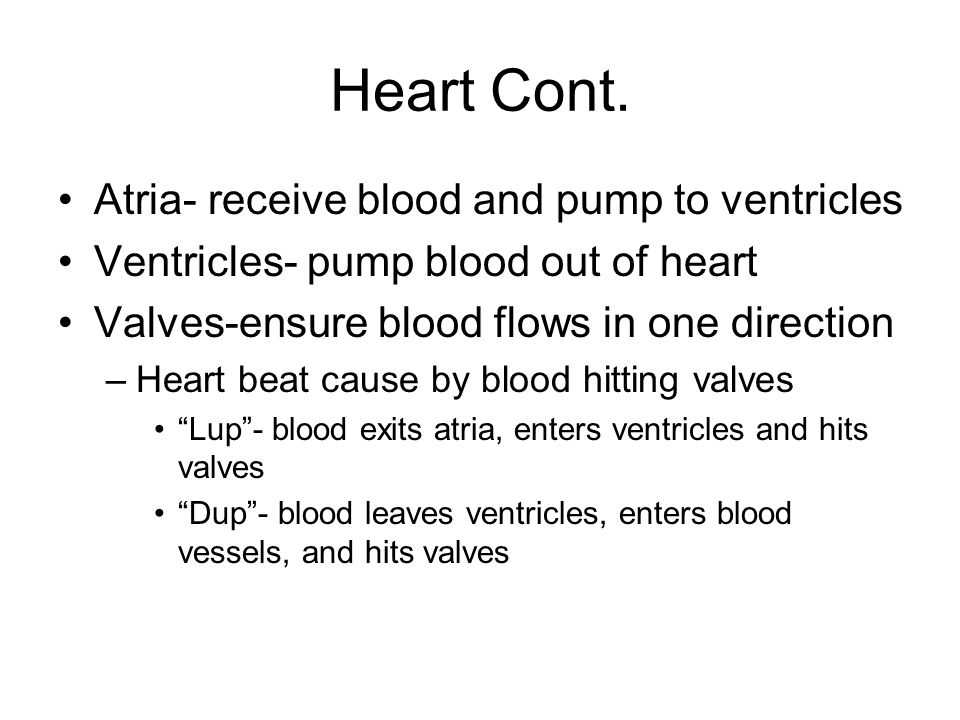 Heart Cont. Atria- receive blood and pump to ventricles