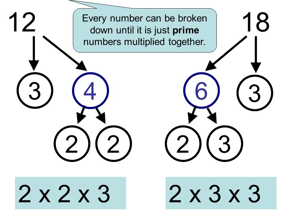 Every number can be broken down until it is just prime numbers multiplied together