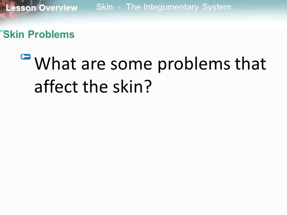 What are some problems that affect the skin