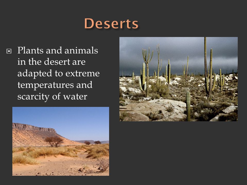Deserts Plants and animals in the desert are adapted to extreme temperatures and scarcity of water