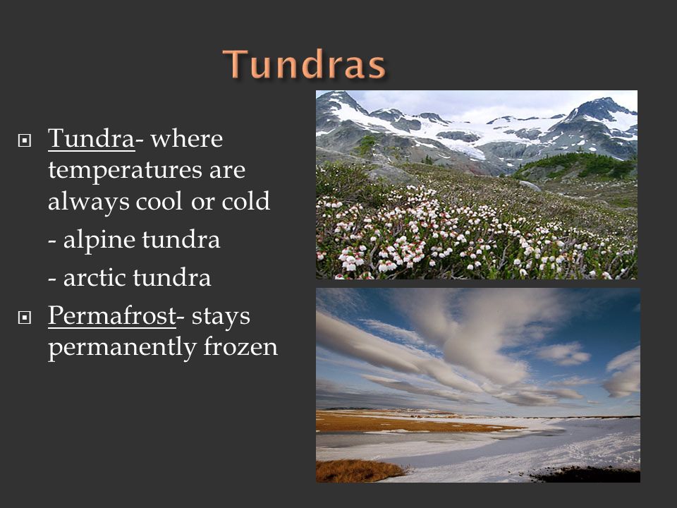 Tundras Tundra- where temperatures are always cool or cold