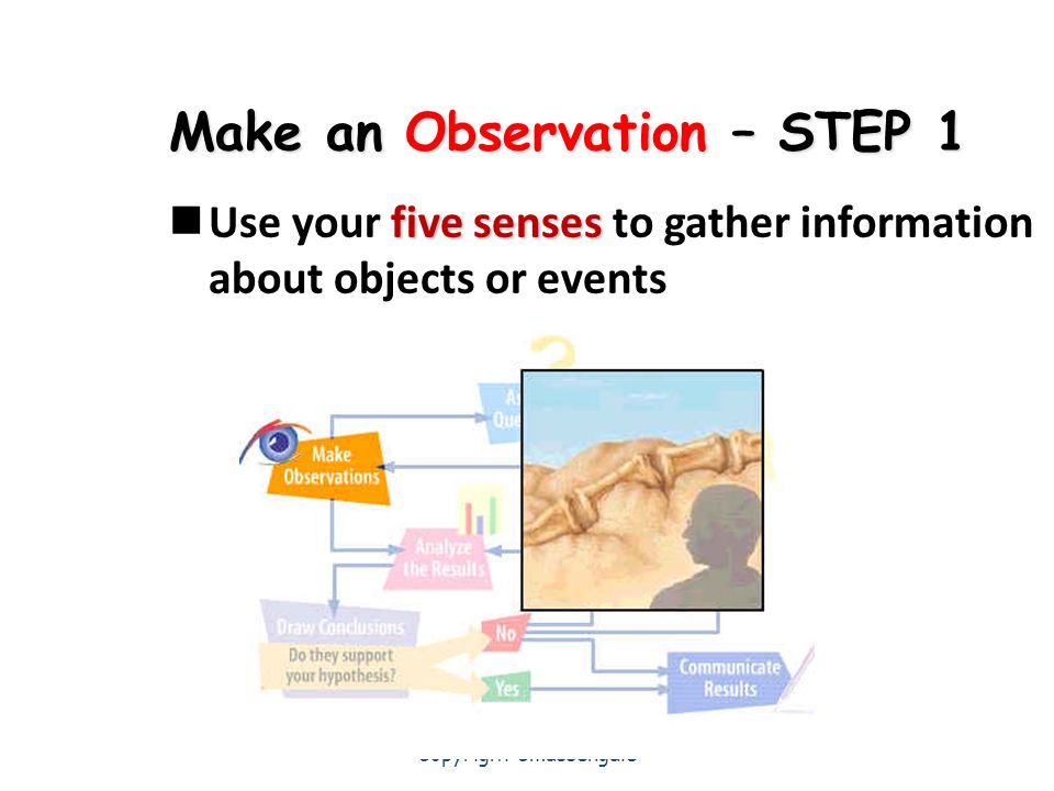 Make an Observation – STEP 1