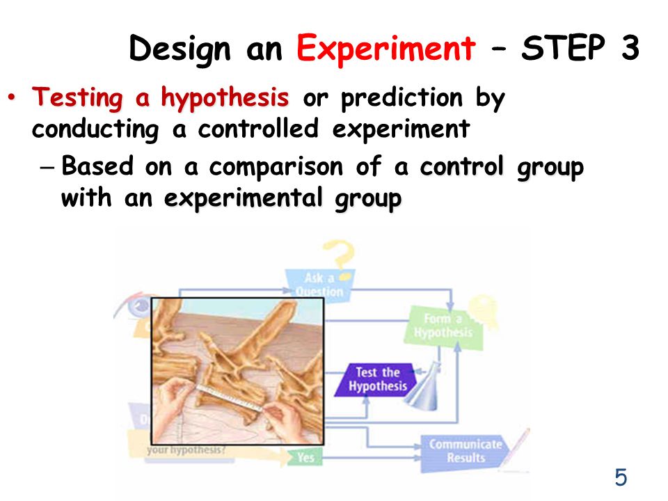 Design an Experiment – STEP 3