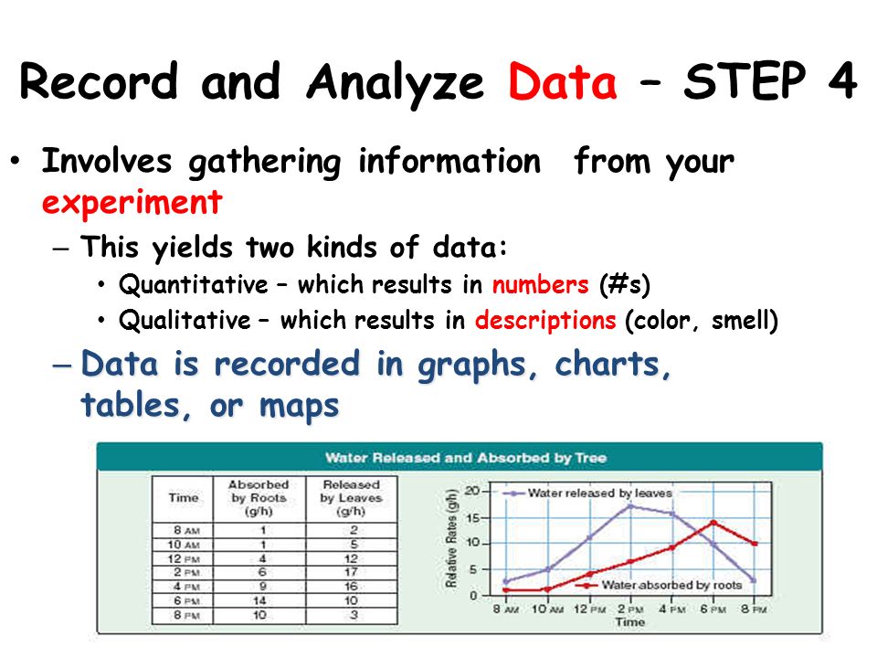 Record and Analyze Data – STEP 4