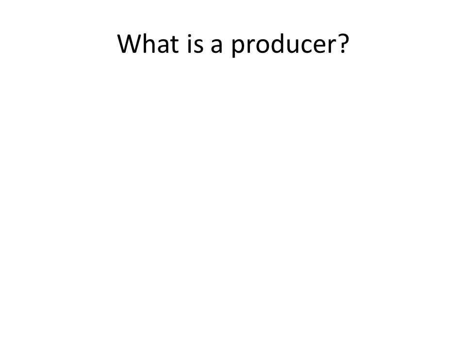 What is a producer