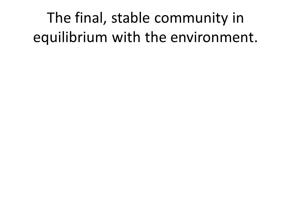 The final, stable community in equilibrium with the environment.