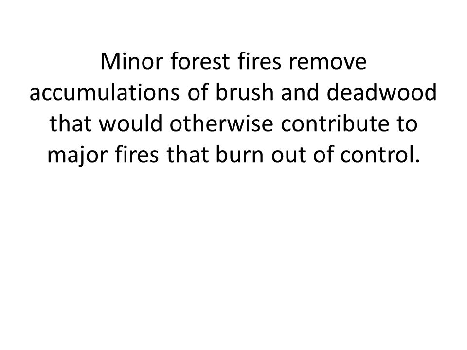 Minor forest fires remove accumulations of brush and deadwood that would otherwise contribute to major fires that burn out of control.