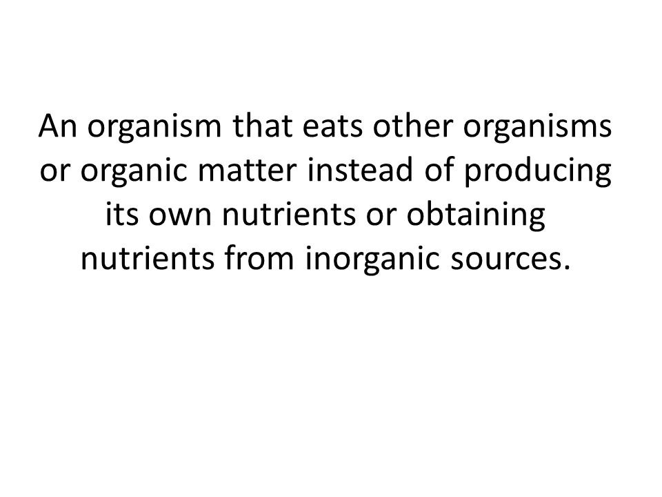 An organism that eats other organisms or organic matter instead of producing its own nutrients or obtaining nutrients from inorganic sources.