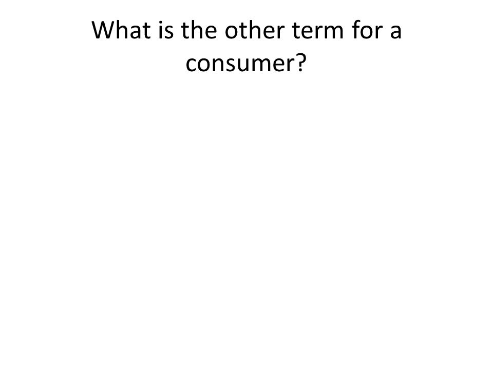 What is the other term for a consumer
