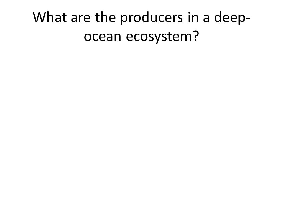 What are the producers in a deep-ocean ecosystem